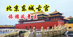 狂插小逼视频中国北京-东城古宫旅游风景区